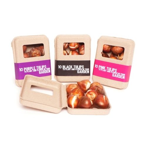 Window box flower bulbs medium - Image 2